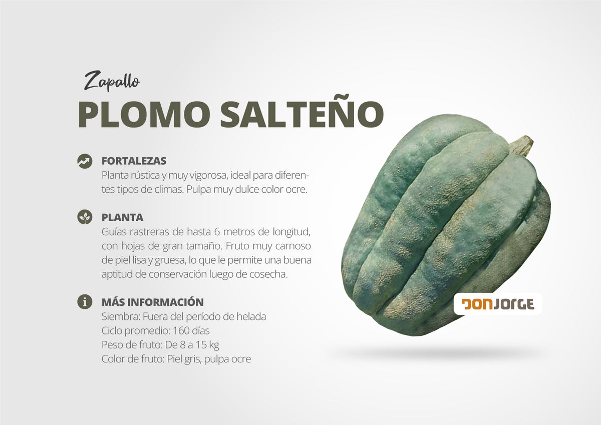 Semillas De Zapallo Gris Plomo Salteño X 1 Kg Don Jorge